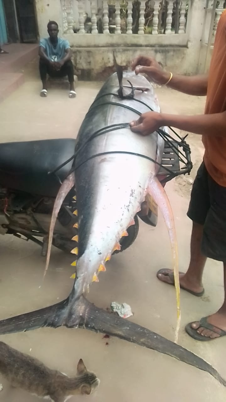 Coastal Conservation